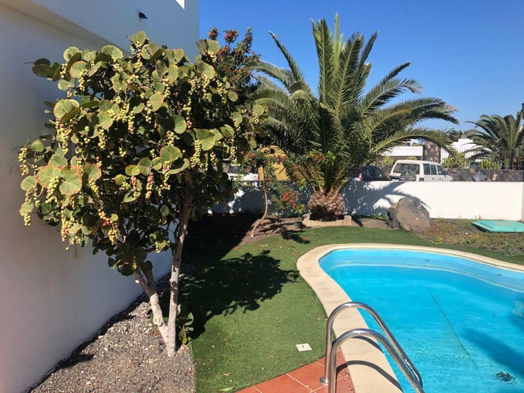 Royal Park Guesthouse Corralejo Extérieur photo